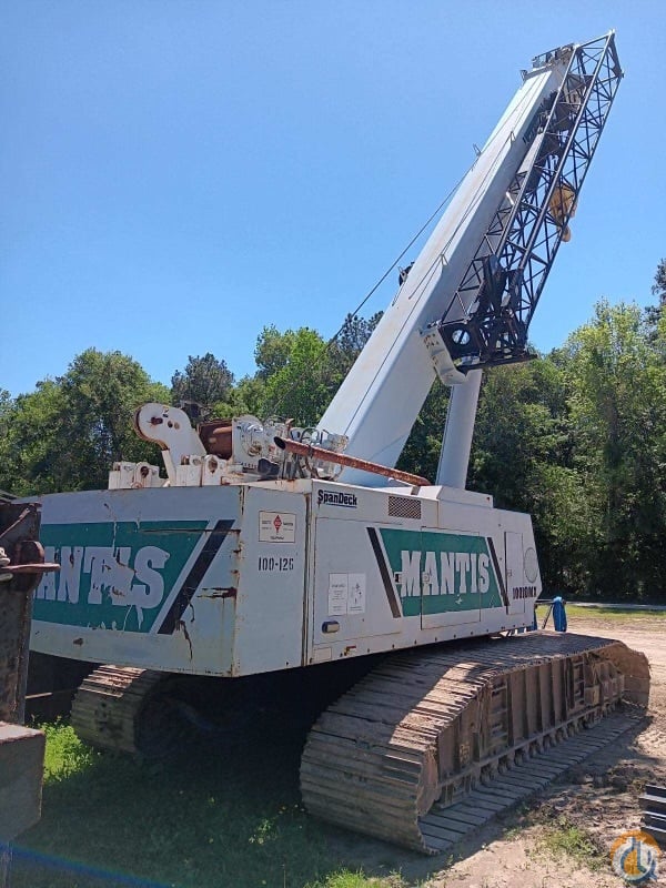 Tadano Mantis 10010MX