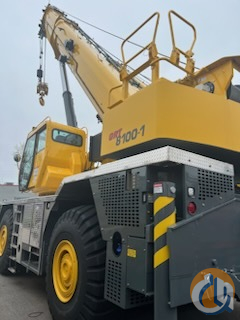 Grove GRT8100-1