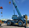 Grove RT890E