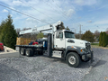 Manitex 26101C